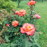 Garden Seaview Дом отдыха Камольи