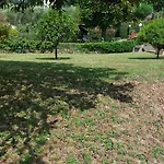 Garden Seaview