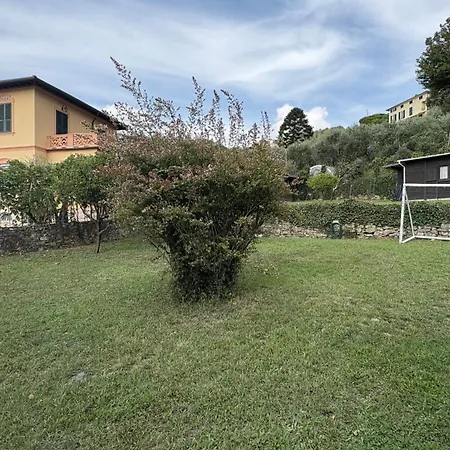 Garden Seaview