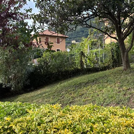 Garden Seaview *