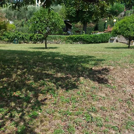 Garden Seaview