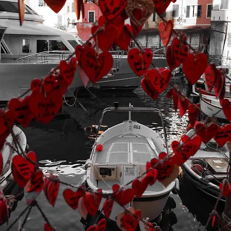 Garden Seaview * 카모글리