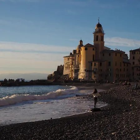 Garden Seaview Dom wakacyjny *