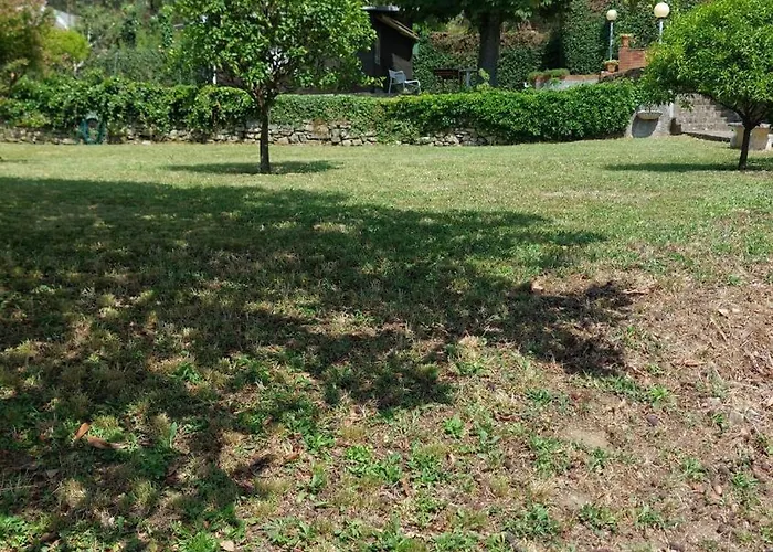 Garden Seaview